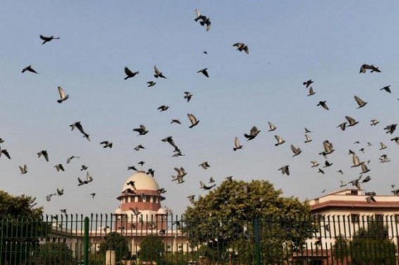 SC denies 2 judges met in-house committee members