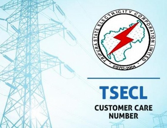 TSECLâ€™s negligence halts systematic billing procedure