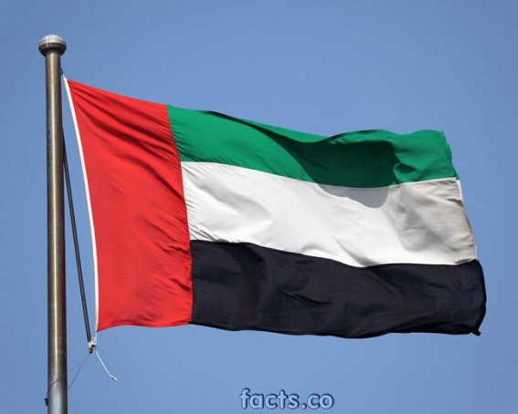 UAE energy minister says oil stocks building up, OPEC job not done