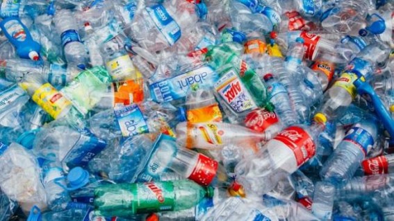 Say no to plastic, plant trees, urge B-Town celebs