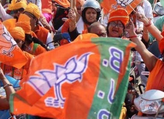 â€˜No loss in Pineapple saleâ€™, BJP refutes media report