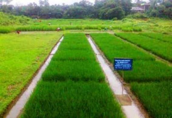 â€˜Dhalai District proven as most performing District for Tripuraâ€™