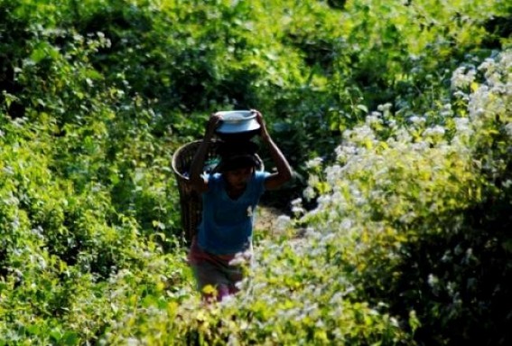 Health Dept sounded alerts in Jhumia areas to control malaria outbreak, special focus given in Dhalai District