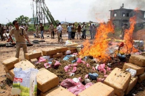Policeâ€™s drive against drug-mafias continue, but yet to Catch the top heads in Tripura Politics