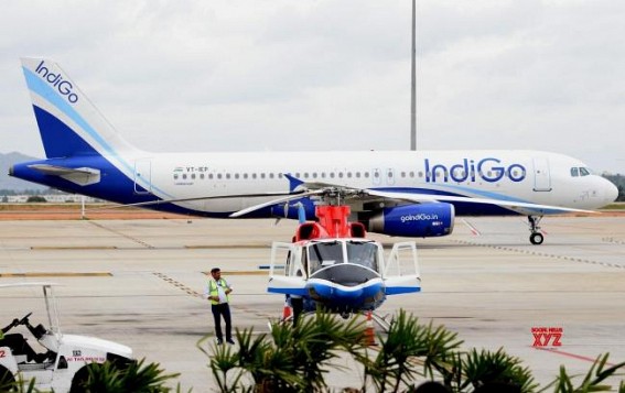 IndiGo's Board meet to continue; Q1 net profit rises to Rs 1,203 cr