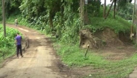 Wood smugglers allegedly attacked Forest Officials, 6 rounds of firing reported