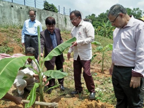 Green Tripura : Tree Plantation Program organized at Tripura University