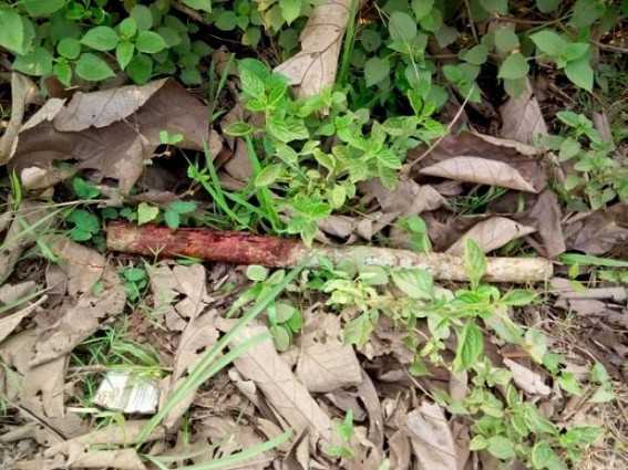 Brutal murders of two youths in Tripura