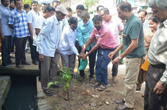 Plantation drive continues in Tripura under Green Tripura movement