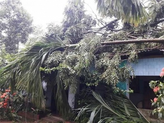Storm caused massive damages in Bishalgarh, flood alerts in Northeast states