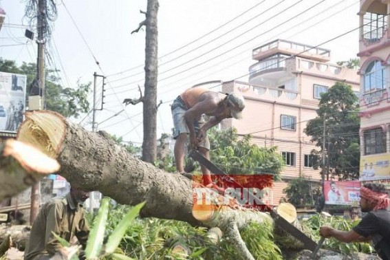 Road expansion project further causing massive deforestation in Agartala