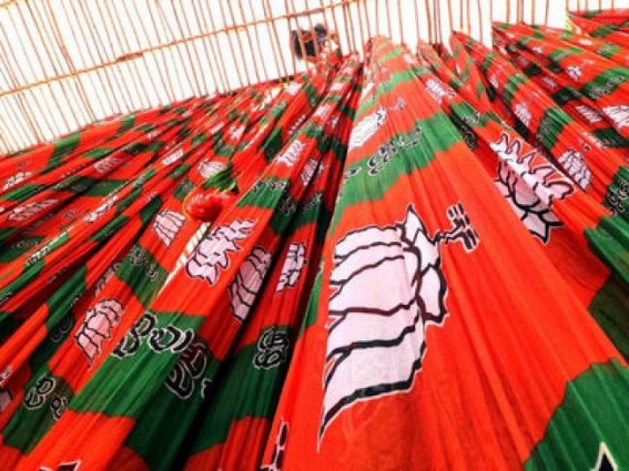 BJP to woo Delhi poor with water, electricity at Re 1