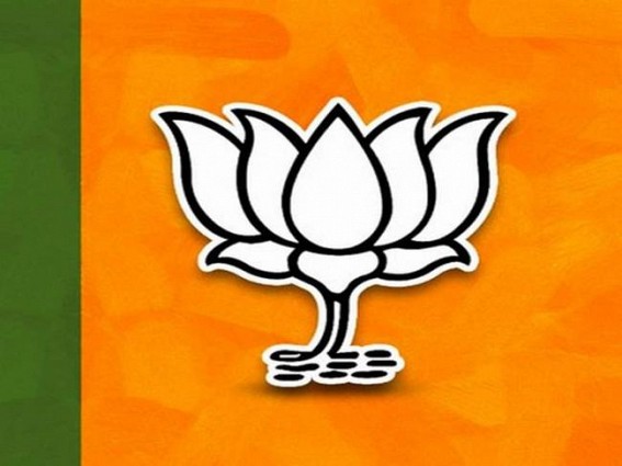 BJP may 'play a role' in US poll, party top gun warns, then deletes