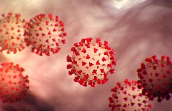 COVID-19 : Tripura CM’s relief fund getting massive donations COVID-19 : Tripura CM’s relief fund getting massive donations