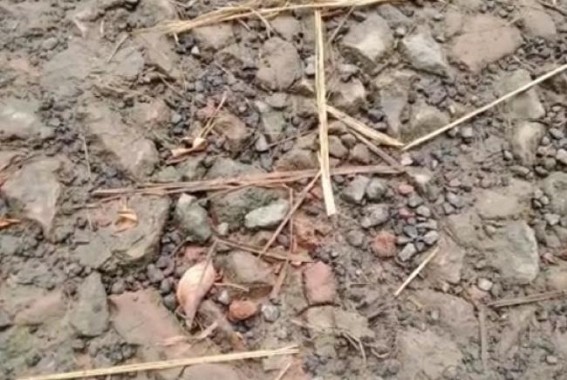Teliamura's Lakkhipur Gram Panchayat road needs repairing 