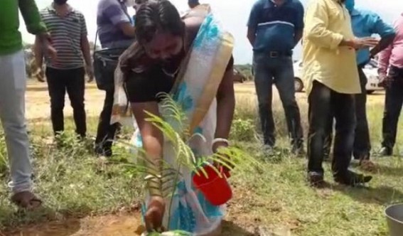 Unakoti forest department celebrated 71th district level tree plantation festival