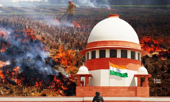 PIL in SC seeks ban on stubble burning in view of Covid-19