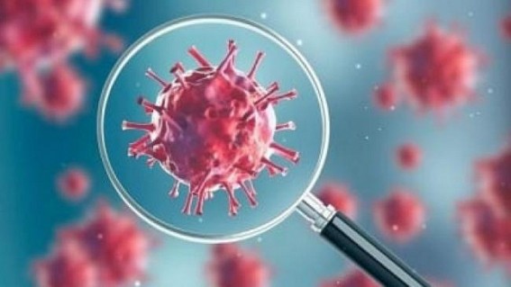 Germany reports 14,611 new Covid-19 cases