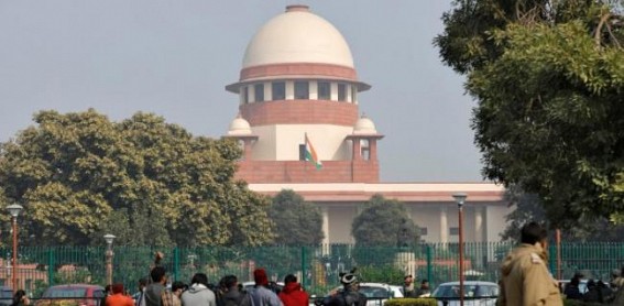 SC: Why fell trees to widen roads? Roads can be zigzag