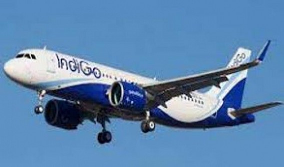 Recovery flight: IndiGo resumes operating 1k daily flights