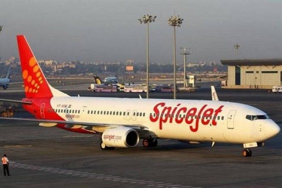 SpiceJet aircraft undershoots runway, pilots grounded