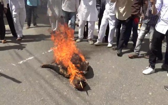 Congress's protest over Anti-Farmer Bill of Modi Govt