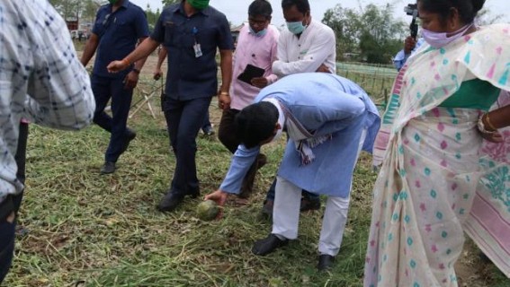 Storm affected people to get financial support