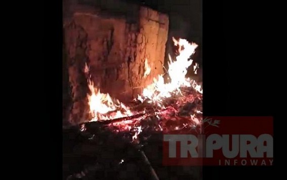 Rs. 250 crores loss in Rubber sector in Lockdown months in Tripura