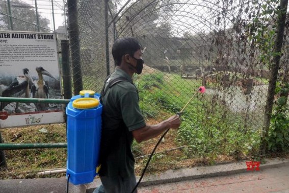 Bird flu scare: Centre asks states, UTs to increase surveillance