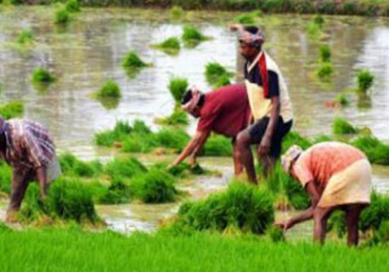 Farmer in UP asked to show proof of 'life'