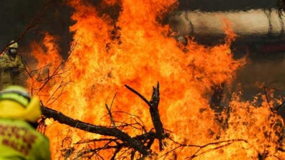 Bushfire danger elevated as heatwave continues in Australia
