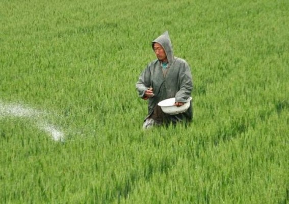 Govt plans to sell 20% stake in National Fertilizers Ltd