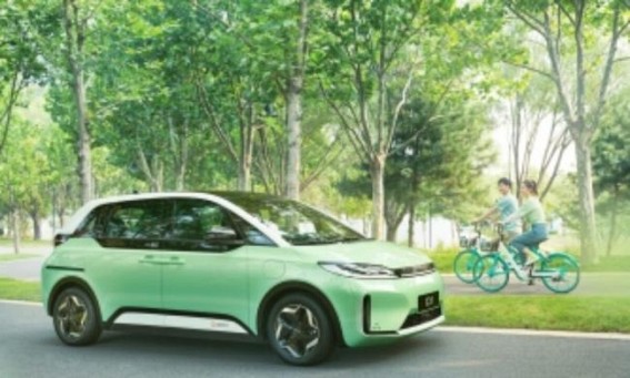 Delhi govt urges RWAs to adopt EV policy