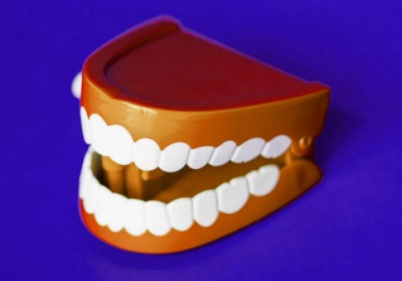 MyDentalPlan raises $700,000 in seed funding, plans expansion