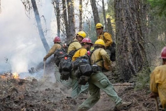2nd largest wildfire in California burns over 700,000 acres