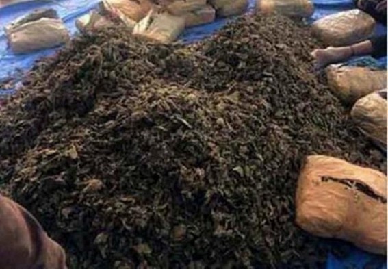 NCB seizes 40 kg ganja from Thane drug peddlers