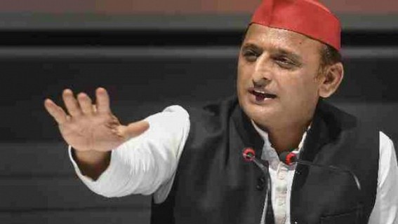 Akhilesh seeks white paper on UP tree plantations