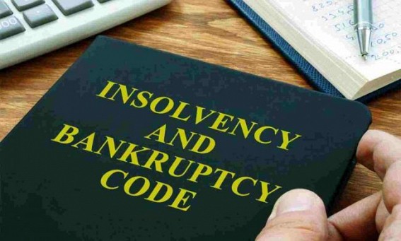 IBBI allows IRPs to hire professionals for resolving complex cases