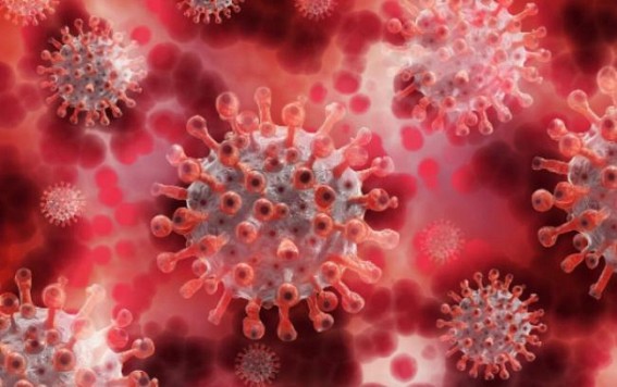 Strong links between our hormones and Covid-19 confirmed