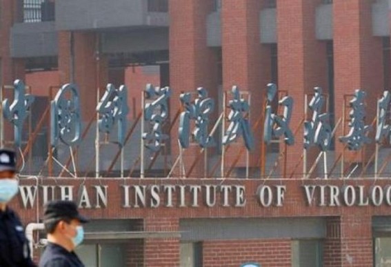 Amateur investigators claim to break Wuhan lab secrets
