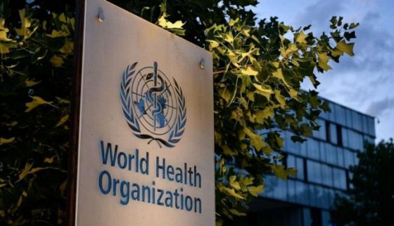 Covid exposed unequal, unaccountable, divided world: WHO panel