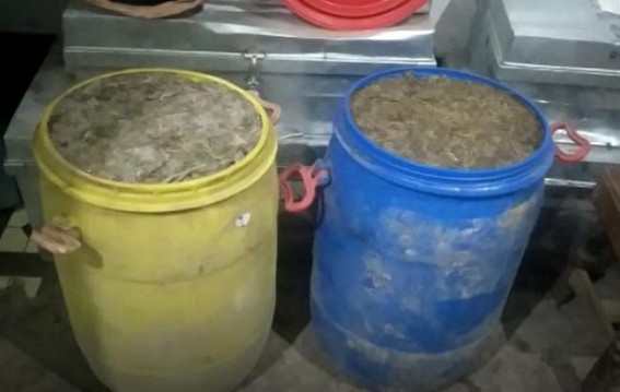 Huge amount of cannabis recovered from underground in Belonia