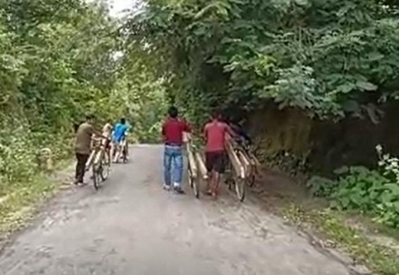 Platform of smuggling Woods! Tripura continues to be in Headline