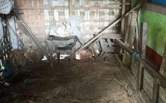 Theft cases in rise in Bishalgarh bypass area : Group of thieves took away 3 cattle from a poor family's house 