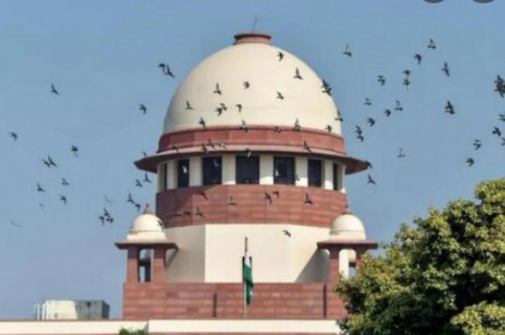 Door-to-door ration: SC refuses to interfere with Delhi HC order