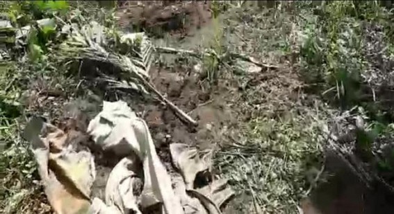 Belonia : BJP Miscreants allegedly destroyed orchard of a young man