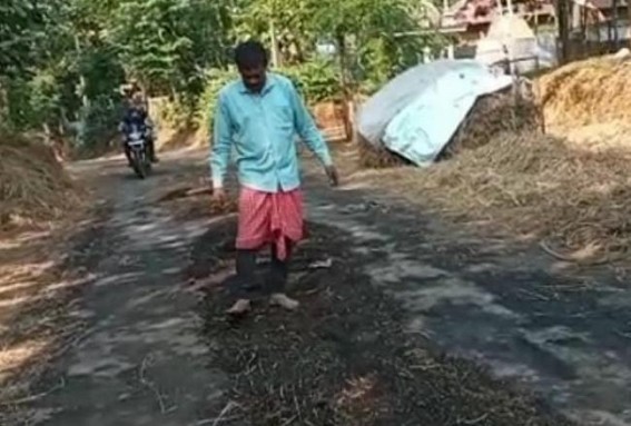 Belonia: In the sabotage fire paddy of a farmer burnt into ashes.