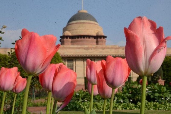 Mughal Gardens to open from Feb 12; entry through online booking only