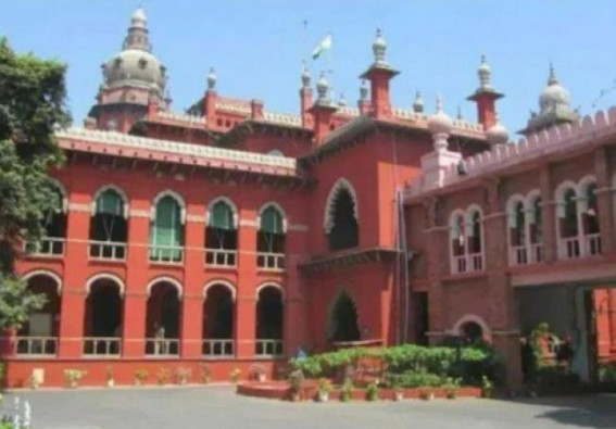 Madras HC orders removal of all posters of urban polls candidates