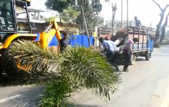 Smart City: Trees across Agartala MBB Airport Road Chopped Off, so far thousands of Trees cut in Agartala under BJP Govt